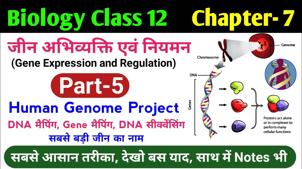 Biology class 12 chapter 7 | human genome project in hindi | manav genome pariyojna | 12th biology