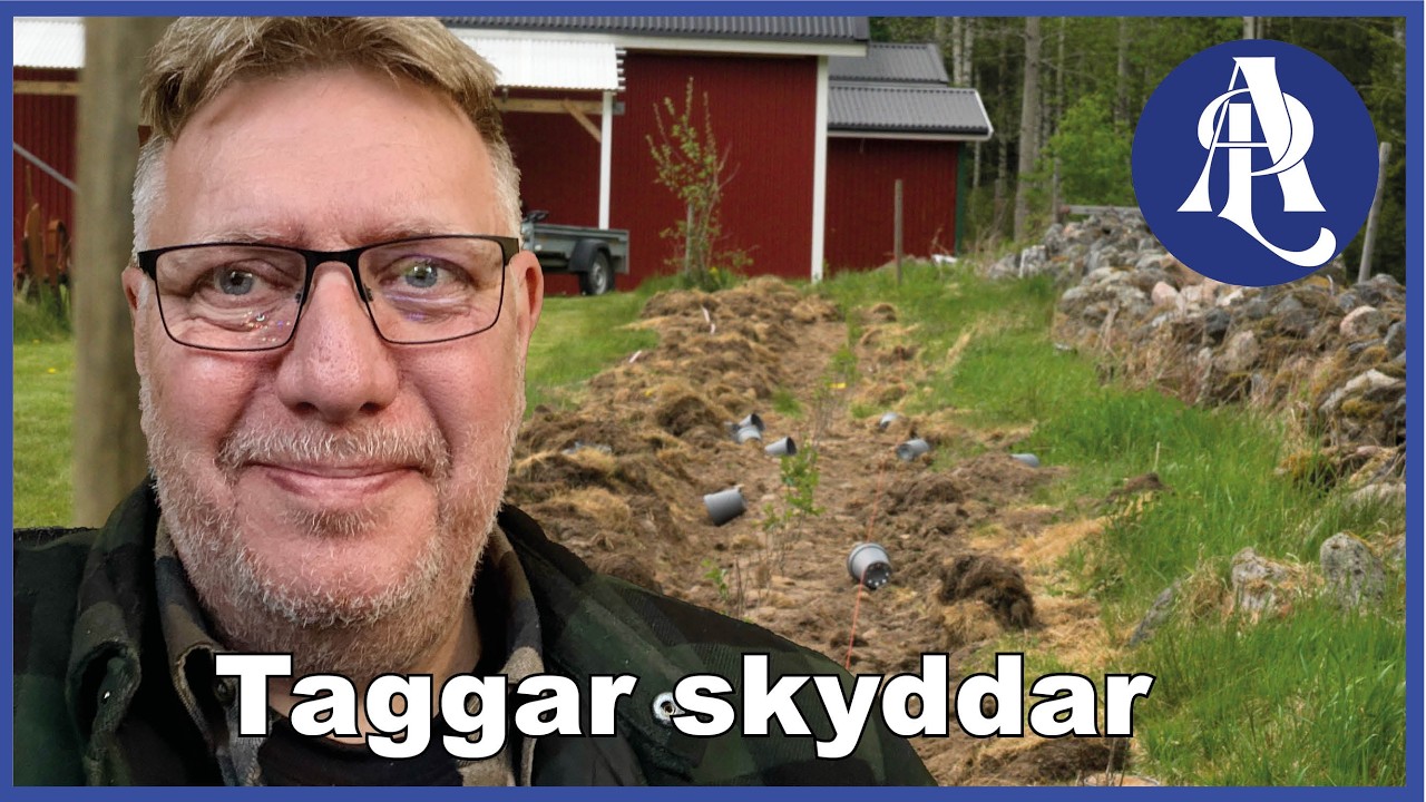 Plantera hagtorn – taggar håller objudna besökare borta