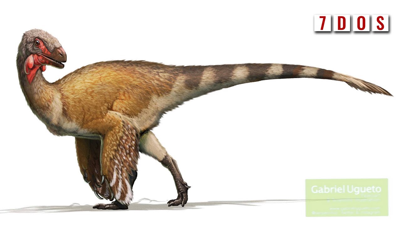 The First Therizinosaur Revealed | 7 Days of Science
