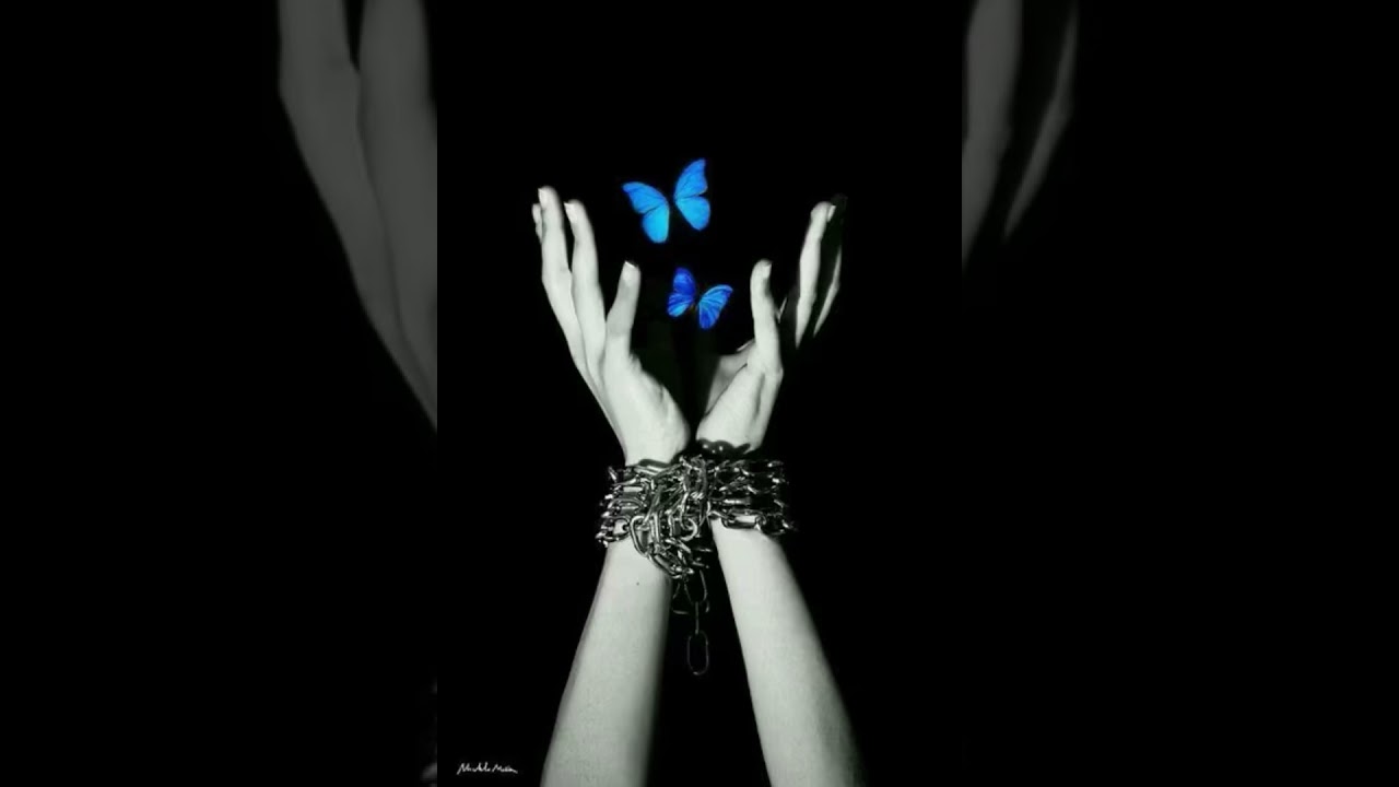 Wings in the Dark