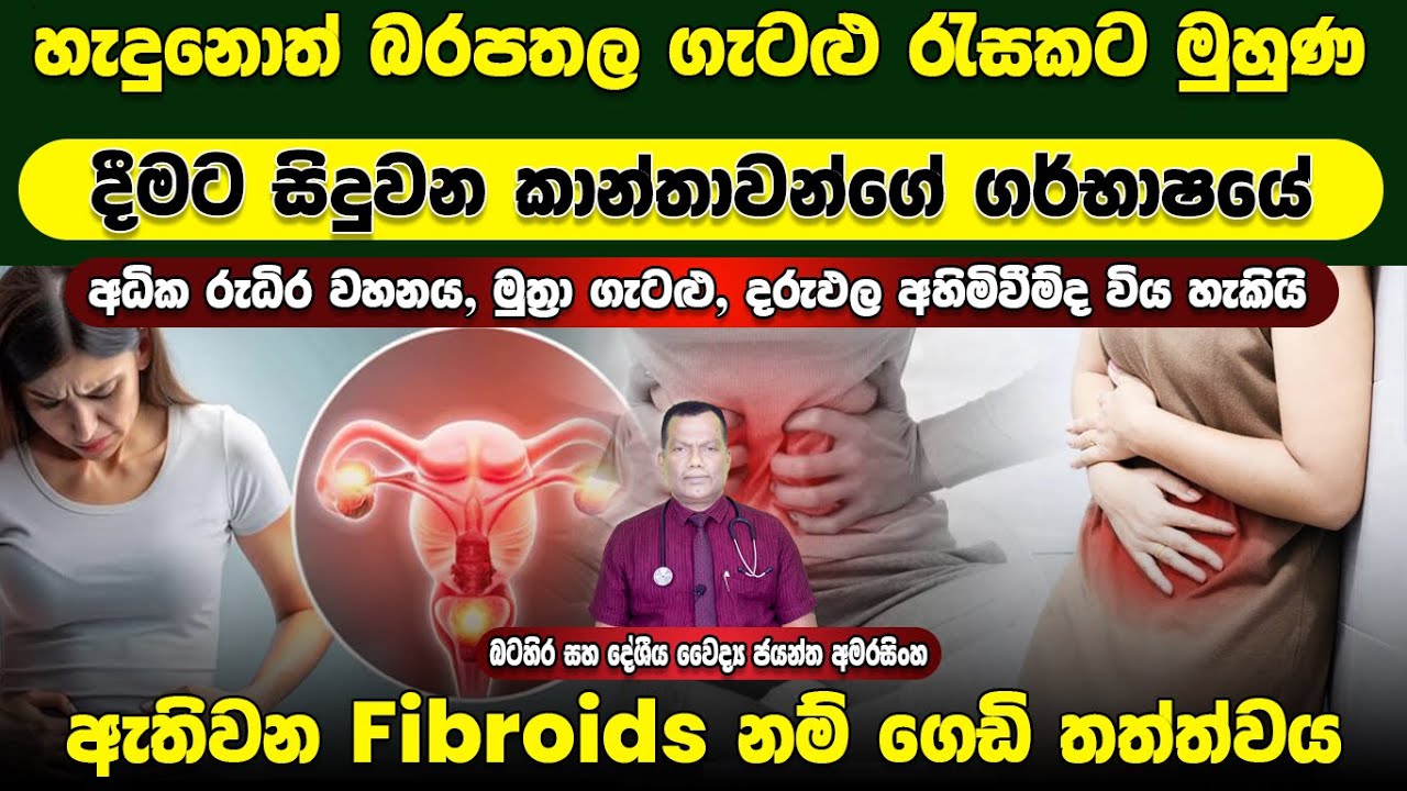 හැදුනොත් බරපතල ගැටළු ගණනාවකට මුහුණ දීමට සිදුවන කාන්තාවන්ගේ ගර්භාෂයේ ඇතිවන Fibroids ගෙඩි තත්ත්වය