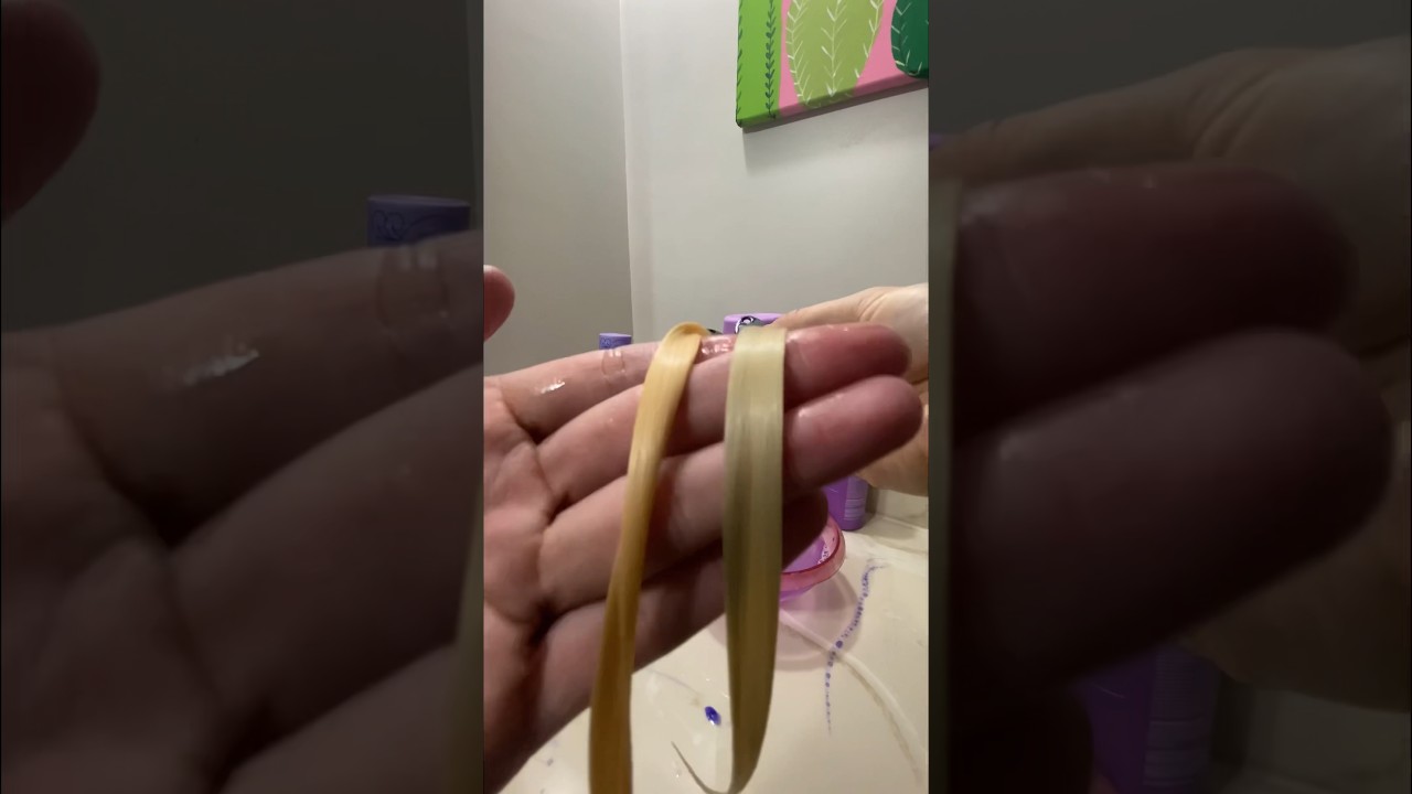 Purple Shampoo Comparison! Amika Vs. Pravana