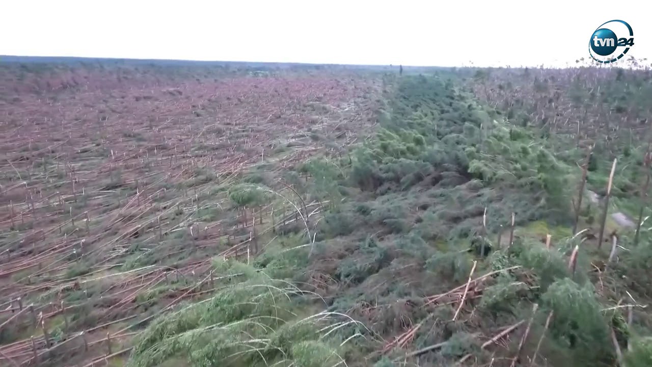 Hektary drzew polamanych jak zapalki Film z drona