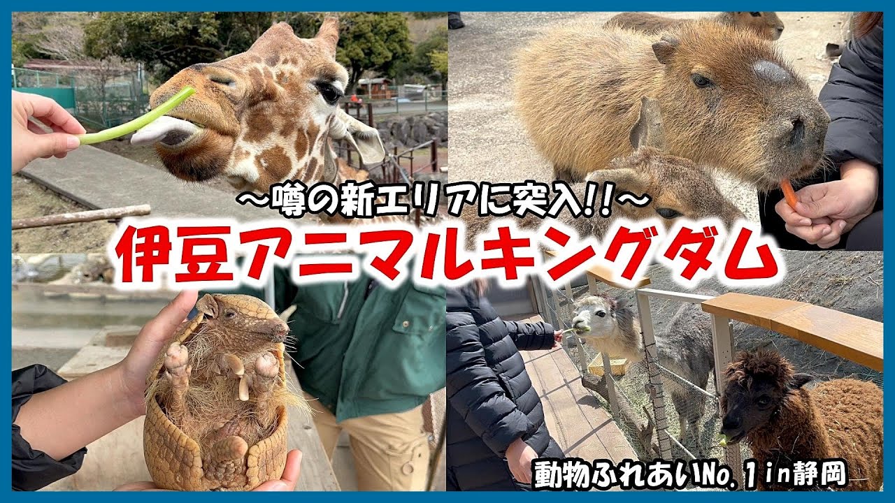 【伊豆アニマルキングダム】動物ふれあいNo 1in静岡～噂の新エリアに突入!!～