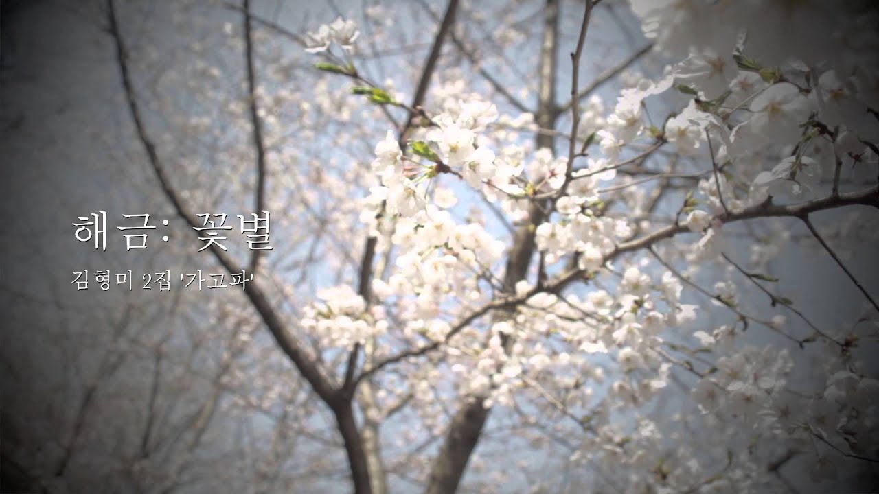 봄이 오면 김형미 2집 '가고파' 가곡 과 재즈 의 만남