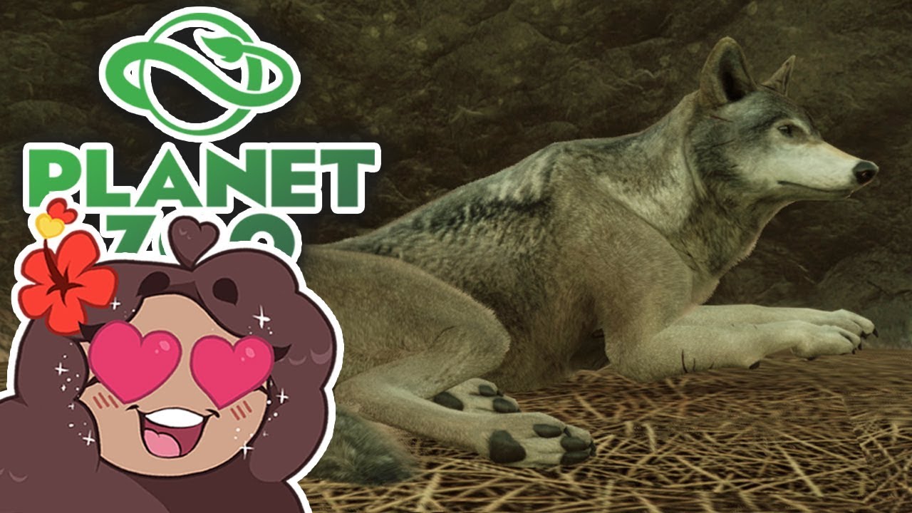 Wandering into Forests of WOLVES!! 🐺 Daily Planet Zoo Special! • Day 21