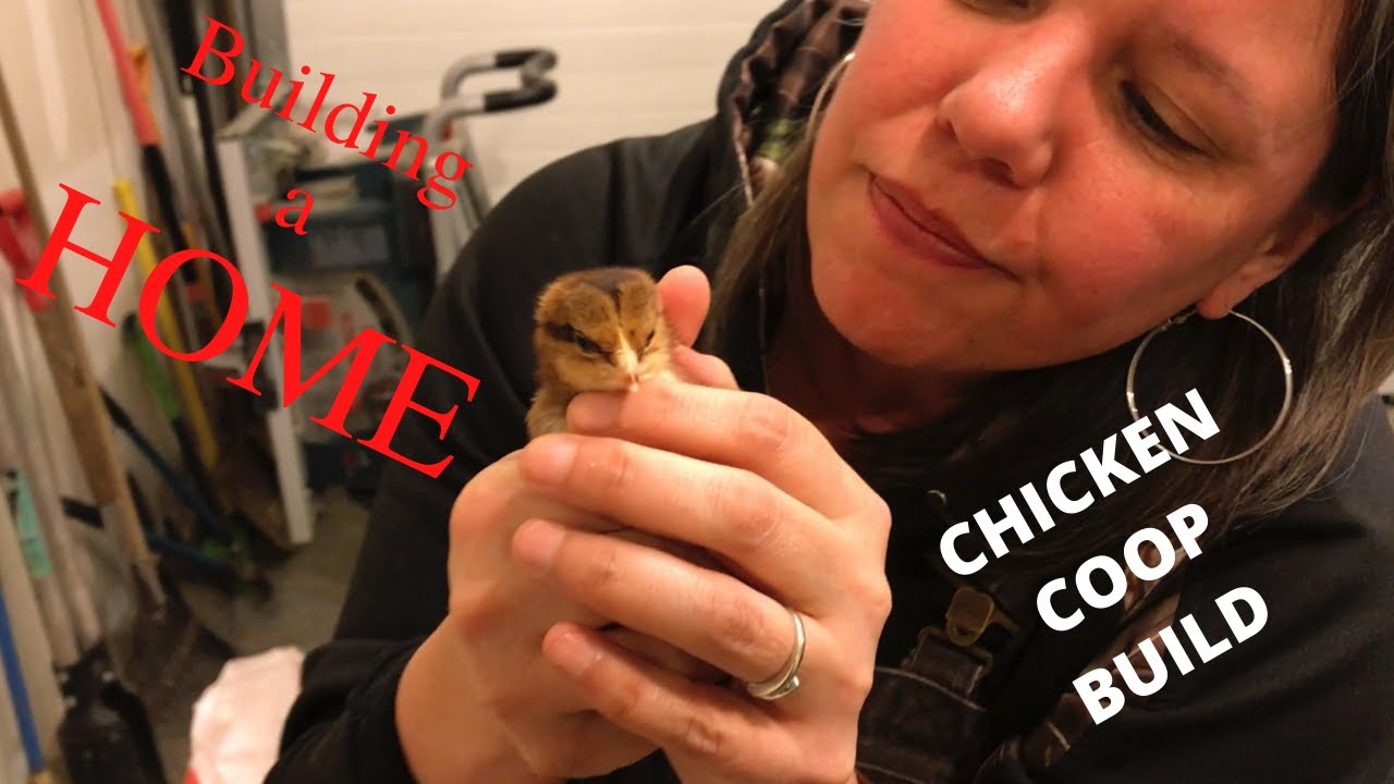 Building an insulated Chicken Coop (Lumnah Acres inspired)