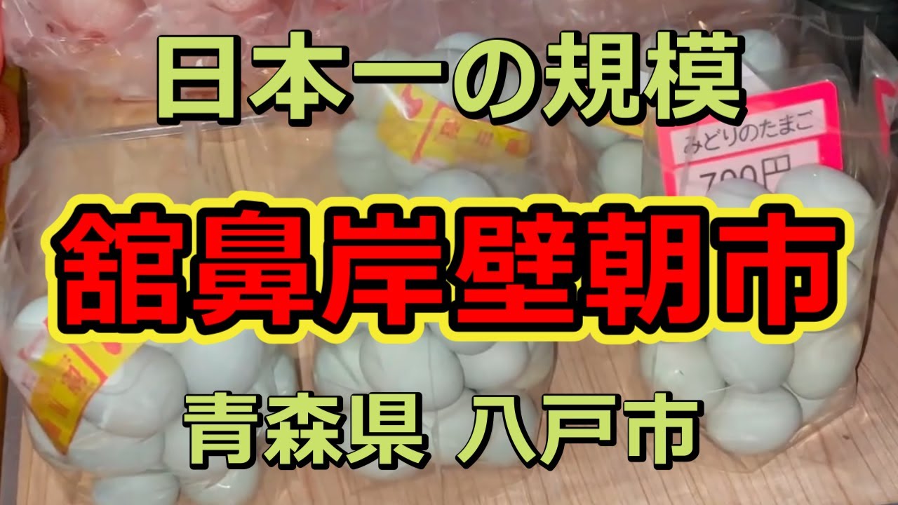 【八戸舘鼻岸壁朝市】日本最大級の市場‼朝一からヤバい⁉