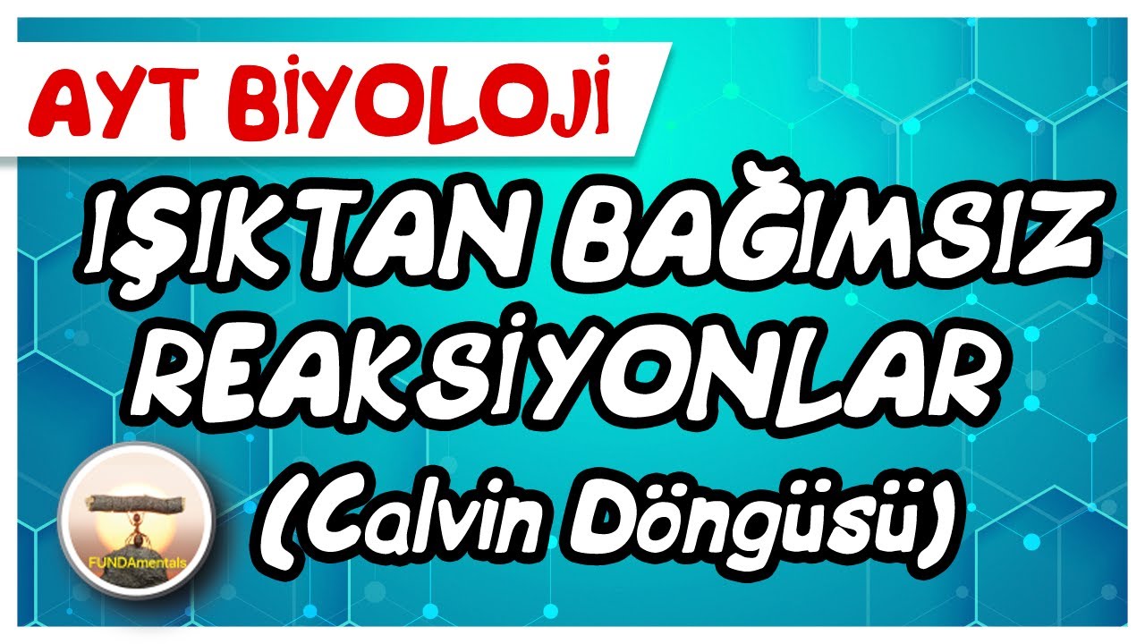 AYT Biyoloji | Işıktan Bağımsız Reaksiyonlar ( Calvin Döngüsü) #sayfa164