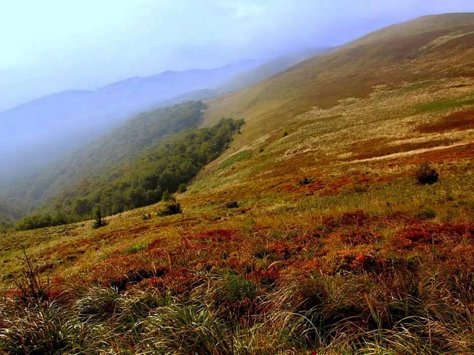 bieszczady 2010