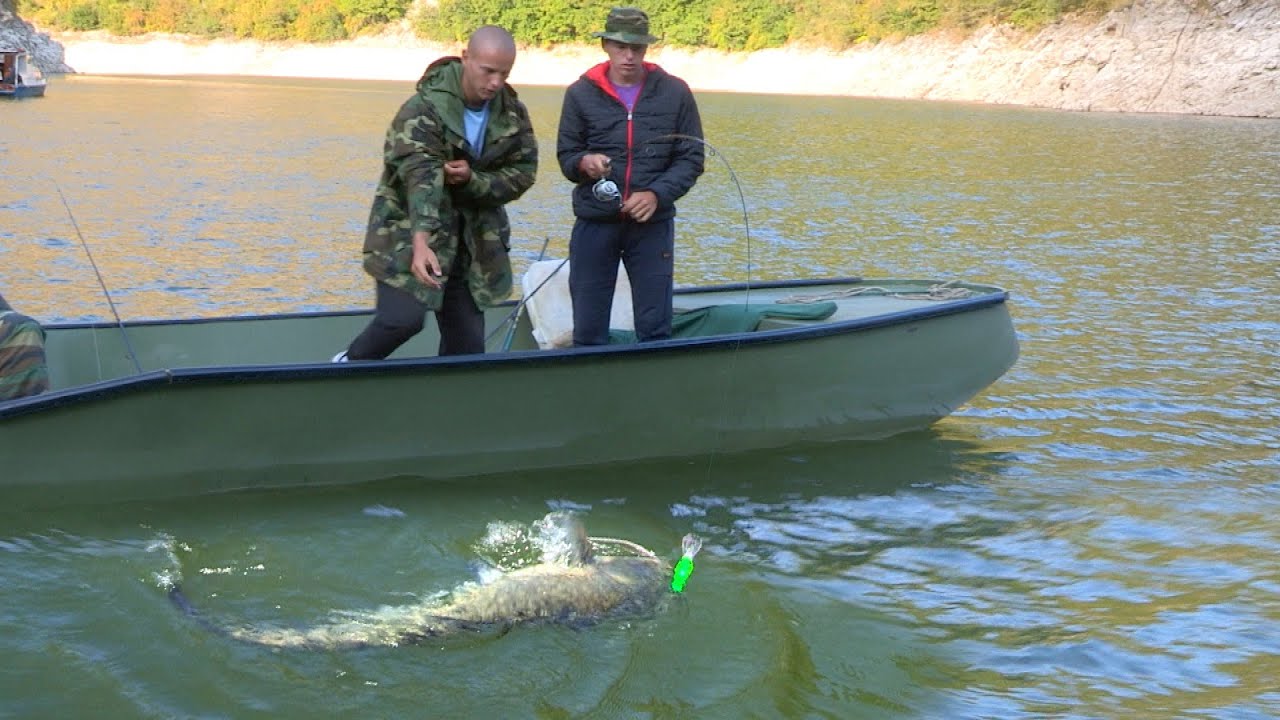 Pecanje soma na Uvačkom jezeru | Fishing catfish on lake
