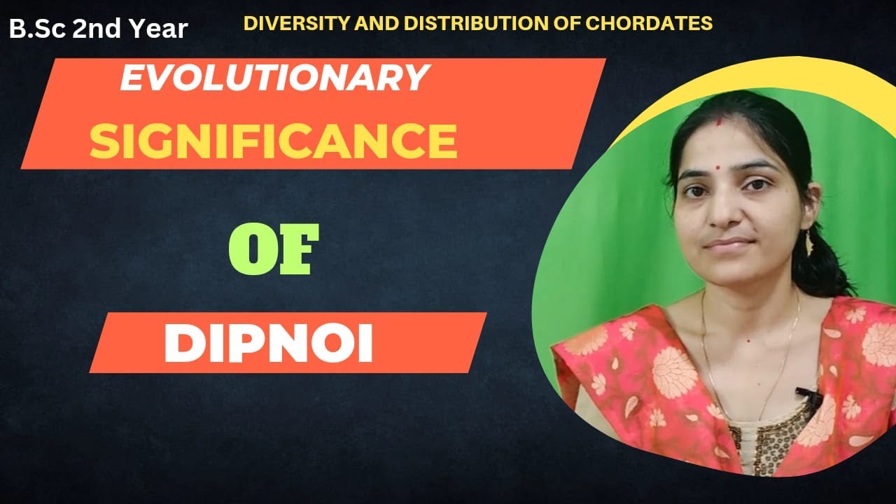 Evolutionary Significance Of Dipnoi  B.S.c 2nd year. #dipnoi#lungfish||Affinities Of Dipnoi.