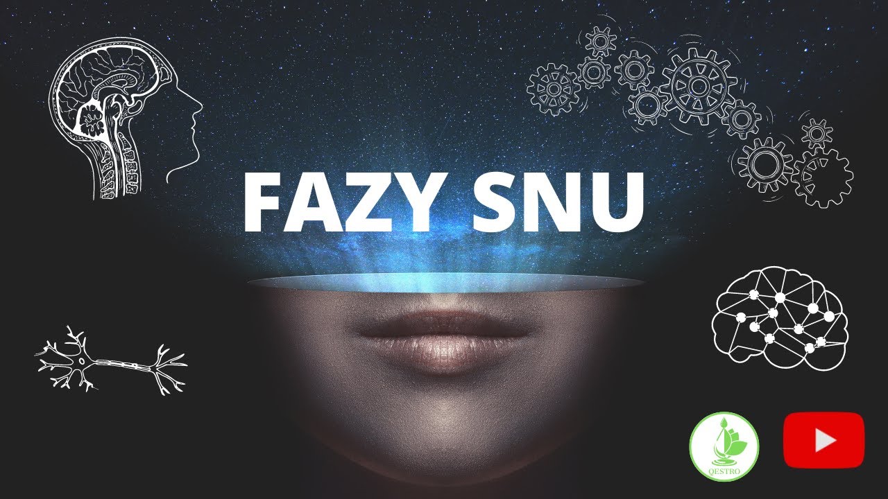 Jak Śni Człowiek? Czyli Ile Trwają Fazy Snu: NREM i REM.