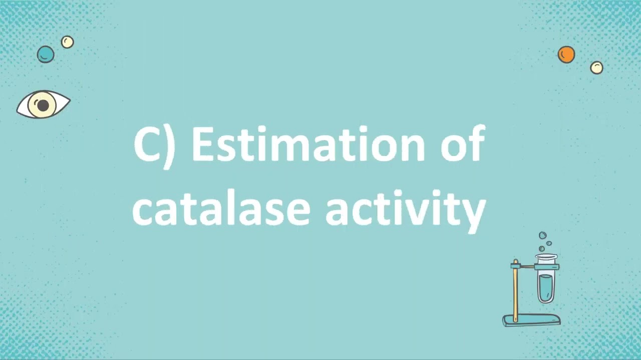 Exp 9 Biocatalysis