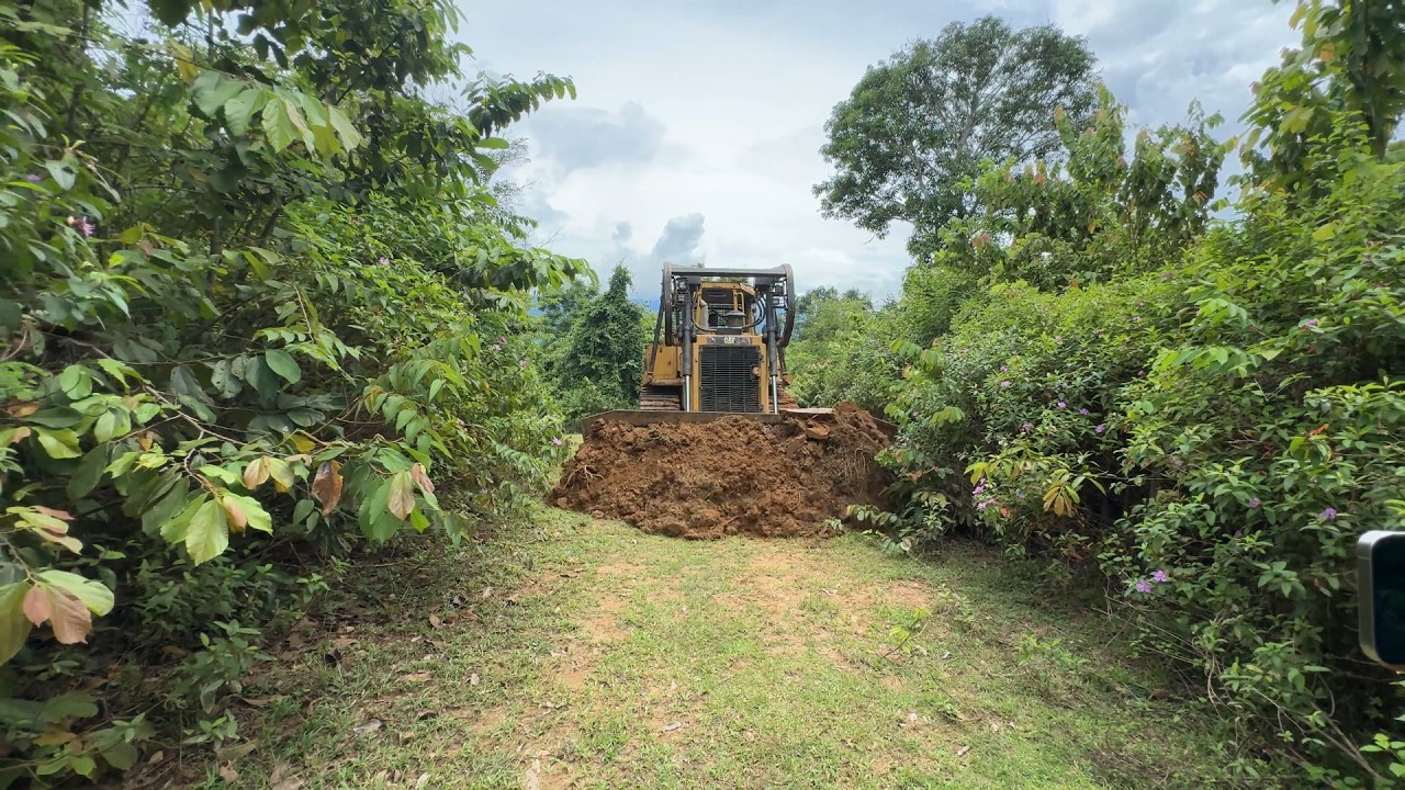 Bulldozer D6R XL The Best Heavy Equipment for Plantation Road Maintenance
