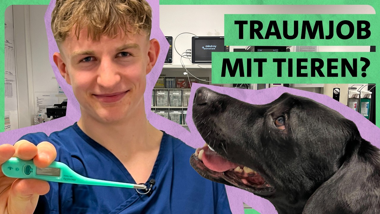 Challenge beim Tierarzt! | JobChallenge Tiermedizinischer Fachangestellter | Ausbildung | ARD