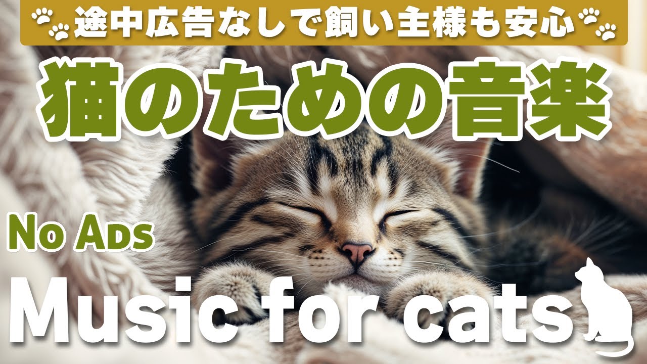 猫が落ち着く音楽/途中広告なしで安心/リラックス/12時間/cat relaxing music/No Ads/12 hours/Relaxing music for cats_vol.319