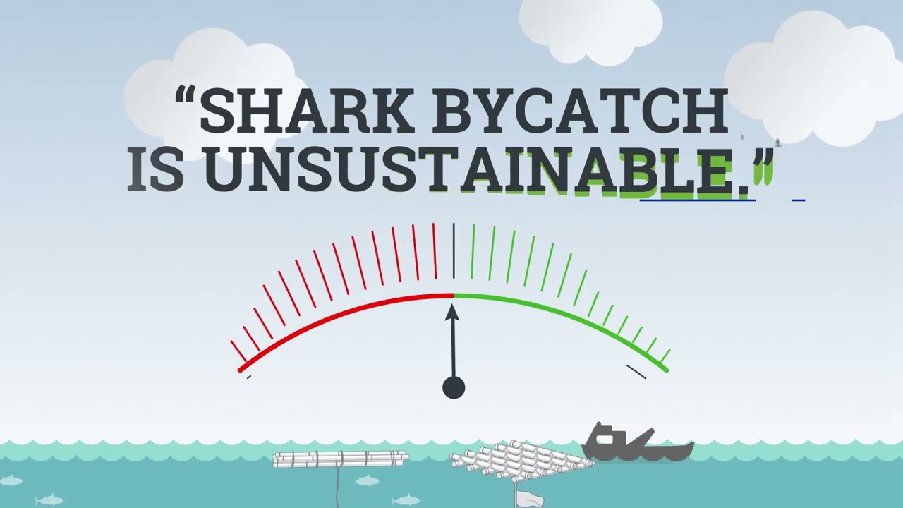 Fact Checking Six Ideas About Fish Aggregating Devices