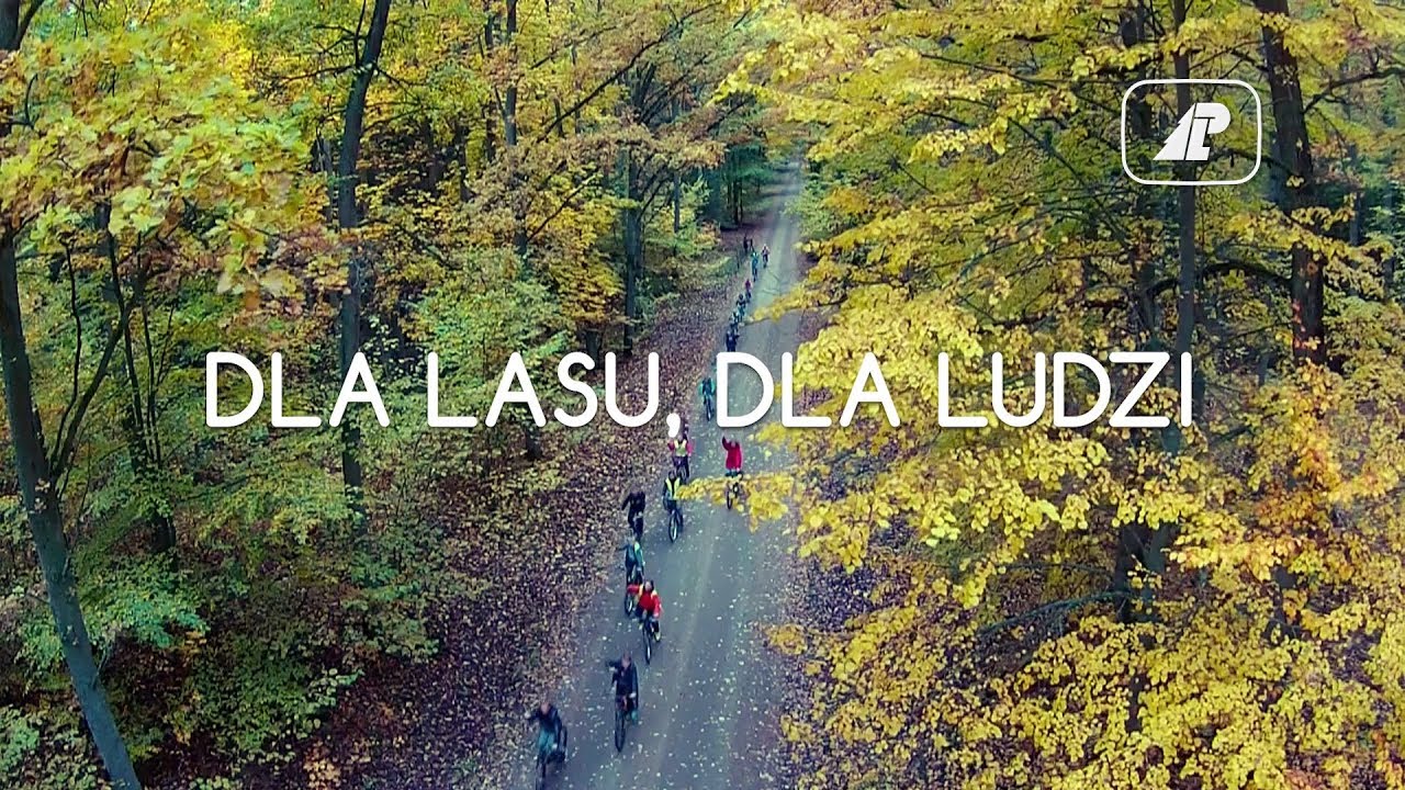 Dla lasu, dla ludzi - czym jest zrównoważona gospodarka leśna