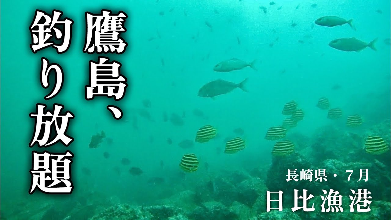 【鷹島・日比漁港・長崎県松浦市・海中映像】長崎の海は格が違う‼︎鷹島は本当に豊かな海を持っている！釣り人は幸せだ🐟#219 福岡釣部 in 福岡・糸島・佐賀・北九州・玄界灘・長崎・平戸・鷹島・佐賀