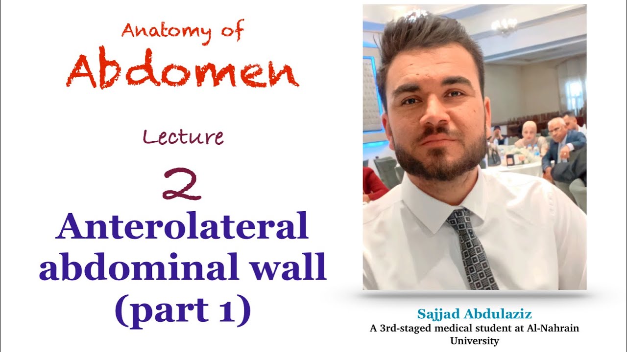 Anatomy of Abdomen | L2 - Anterolateral abdominal wall (part 1) | Sajjad Abdulaziz