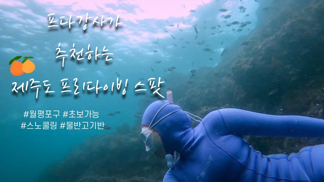 프다강사가 추천하는 제주도 프리다이빙 포인트 #월평포구