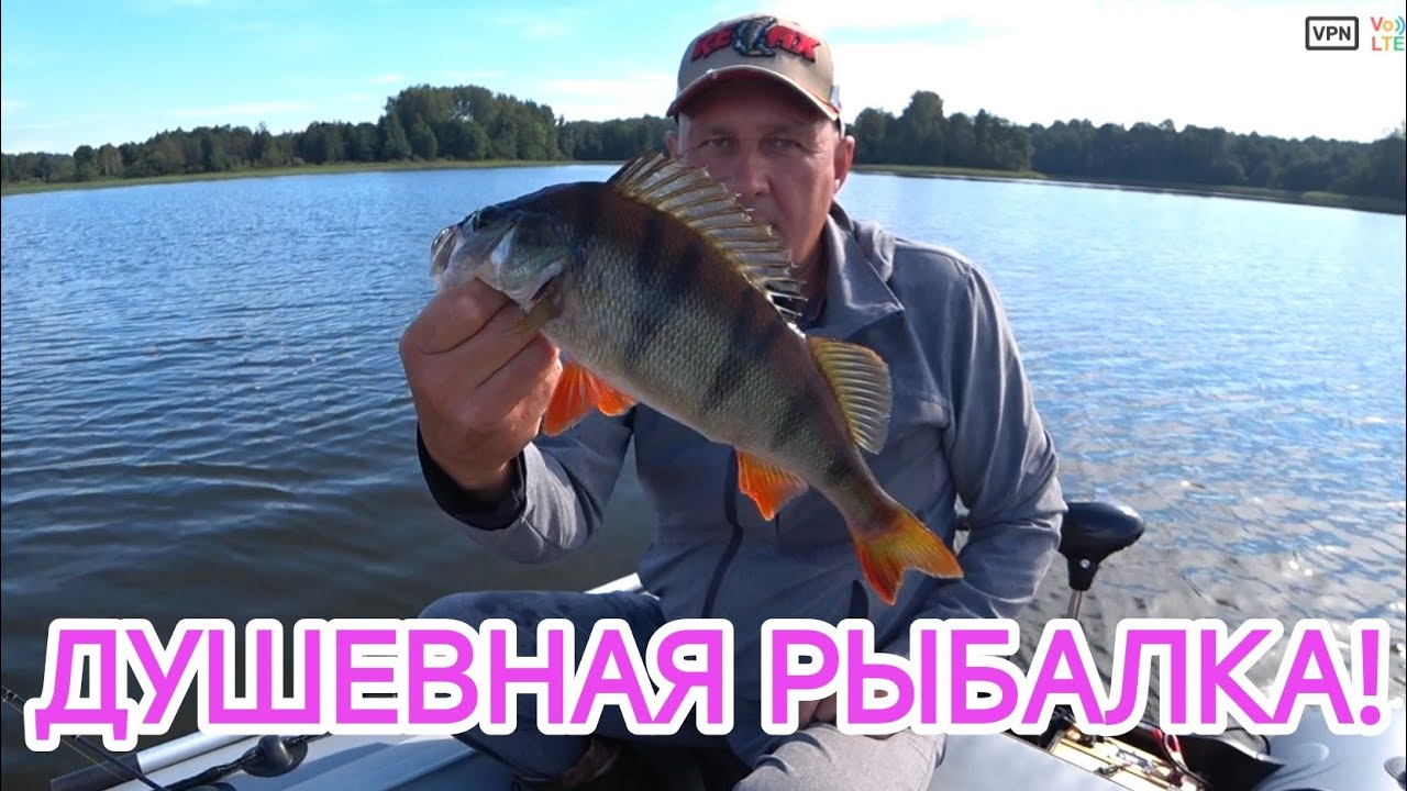 Рыбалка на спиннинг// Поклёвки на камеру! 🎣