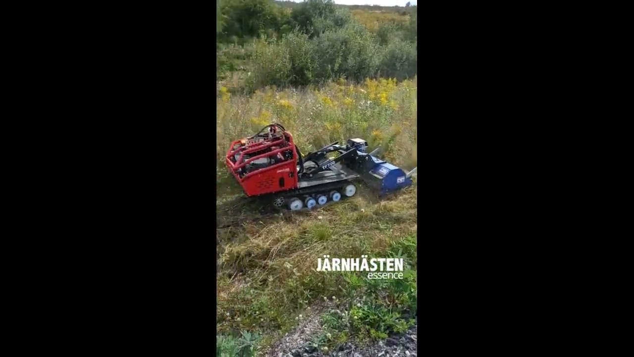 Tekink Väst i Eda kommun klipper sopberget med Radiostyrda Järnhästen Essence med betesputs