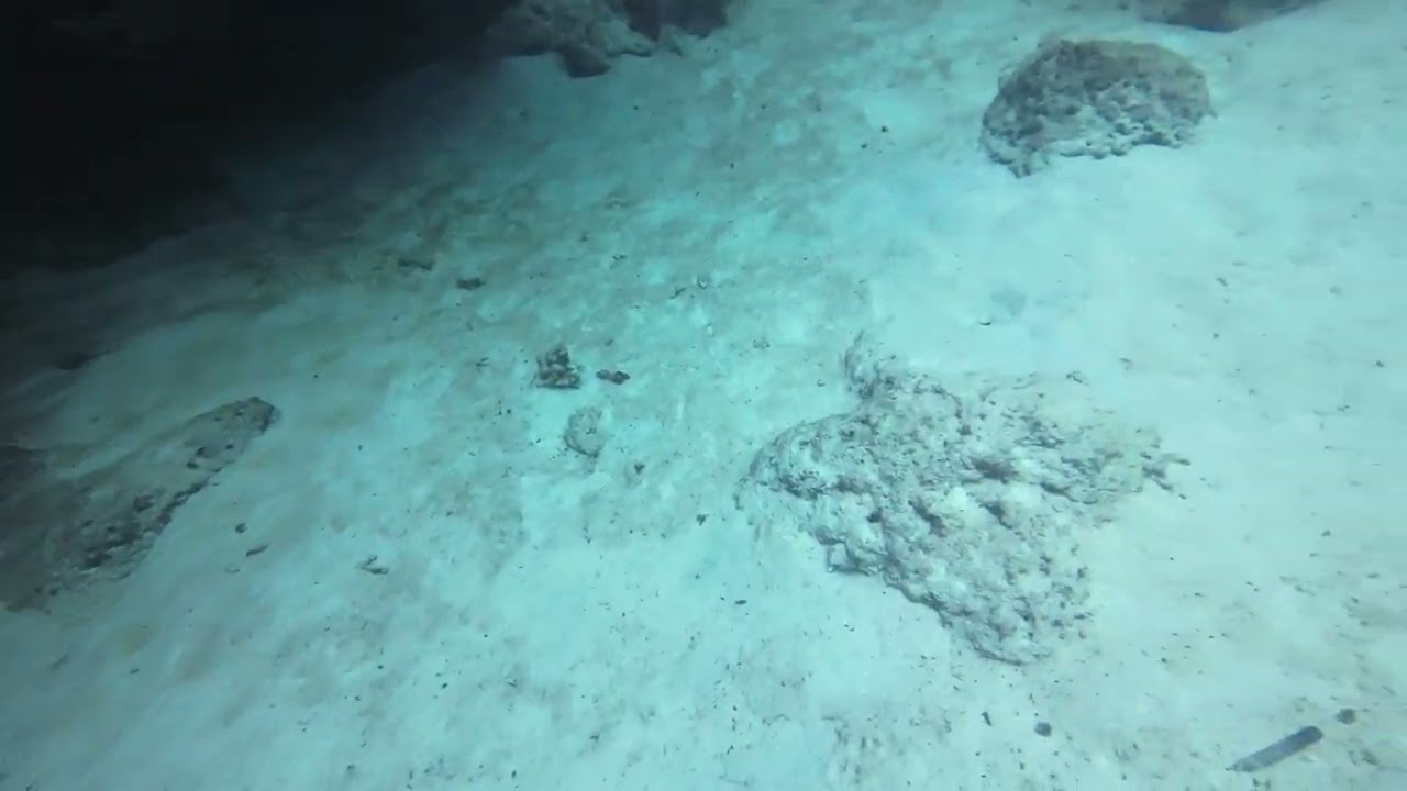 Diving