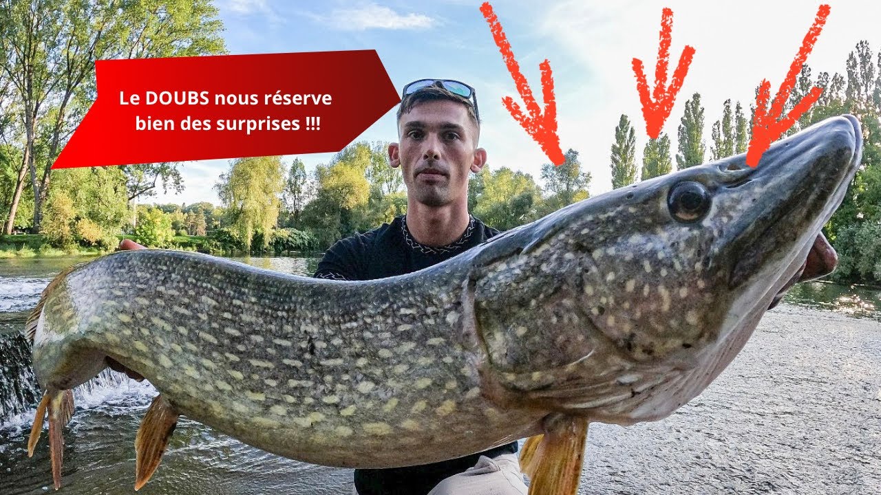 Le DOUBS nous réserve bien des SURPRISES !!! ( 1er métré ? )