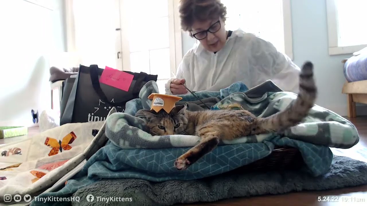 Screech packs her #TinySuitcases and screeches goodbye!