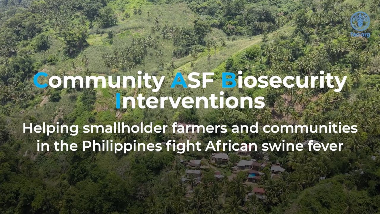 Community Biosecurity Against African Swine Fever: Supporting smallholder farmers combat ASF