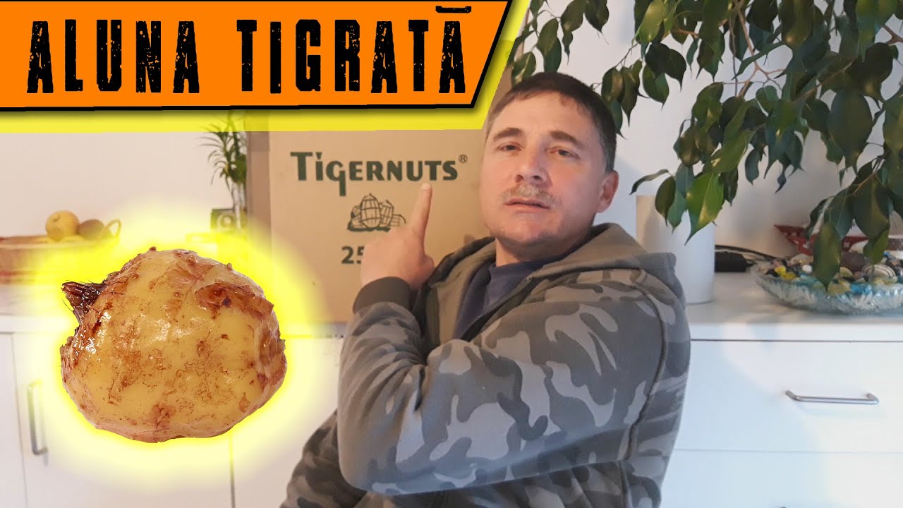 Ce este 
