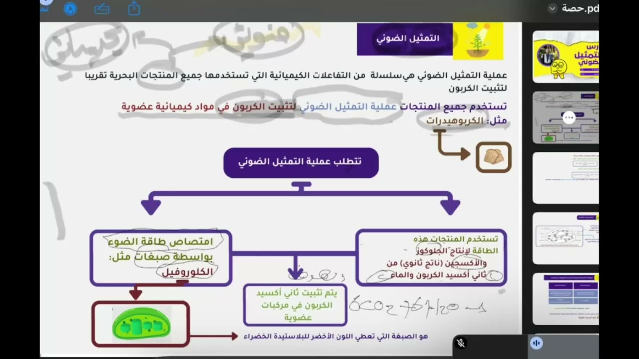 التمثيل الضوئي - صف الثاني عشر - العلوم البيئية - سلسلة فلورين