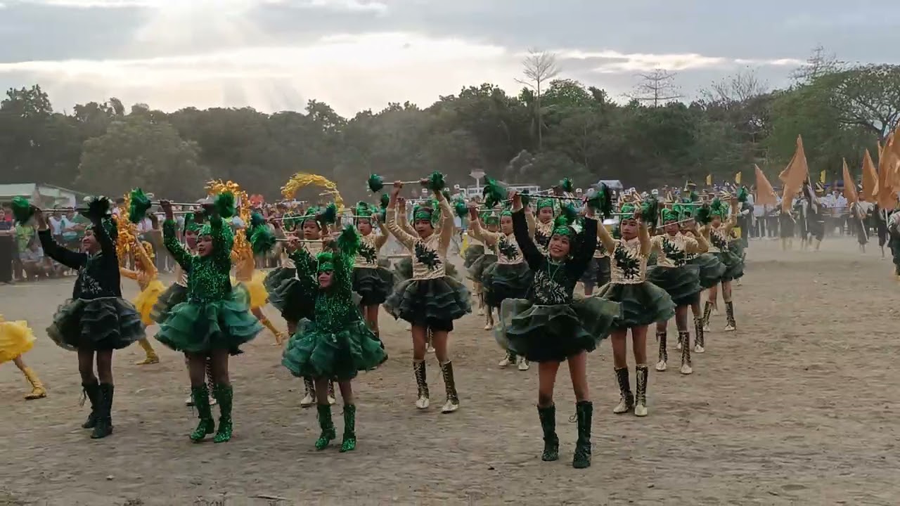 3RD CDSA MEET / MAASIN CENTRAL ELEM SCHOOL DRUM AND LYRE CORPS BEST PERFORMANCE / CABATUAN ILOILO