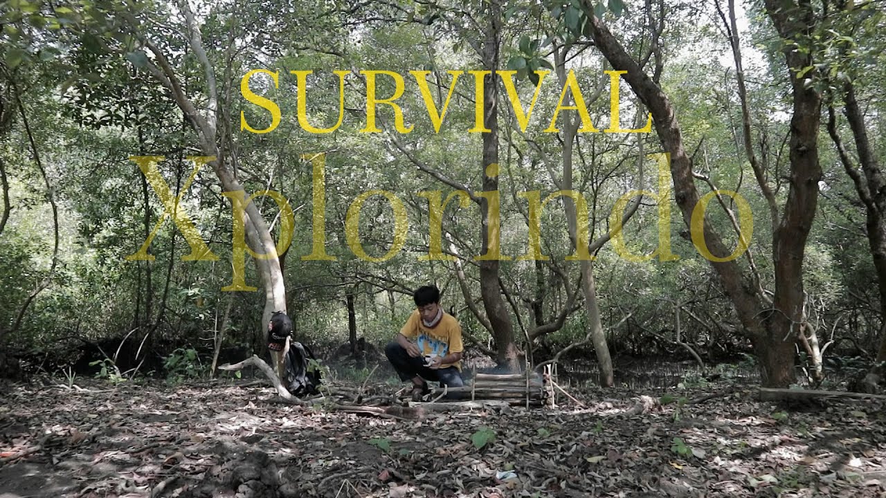 SURVIVAL 