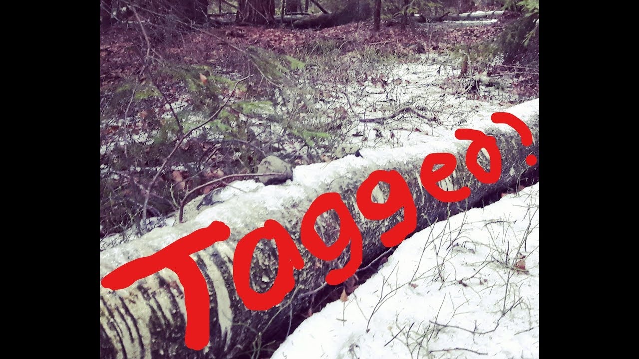Responding To a Bushcraft Tag!