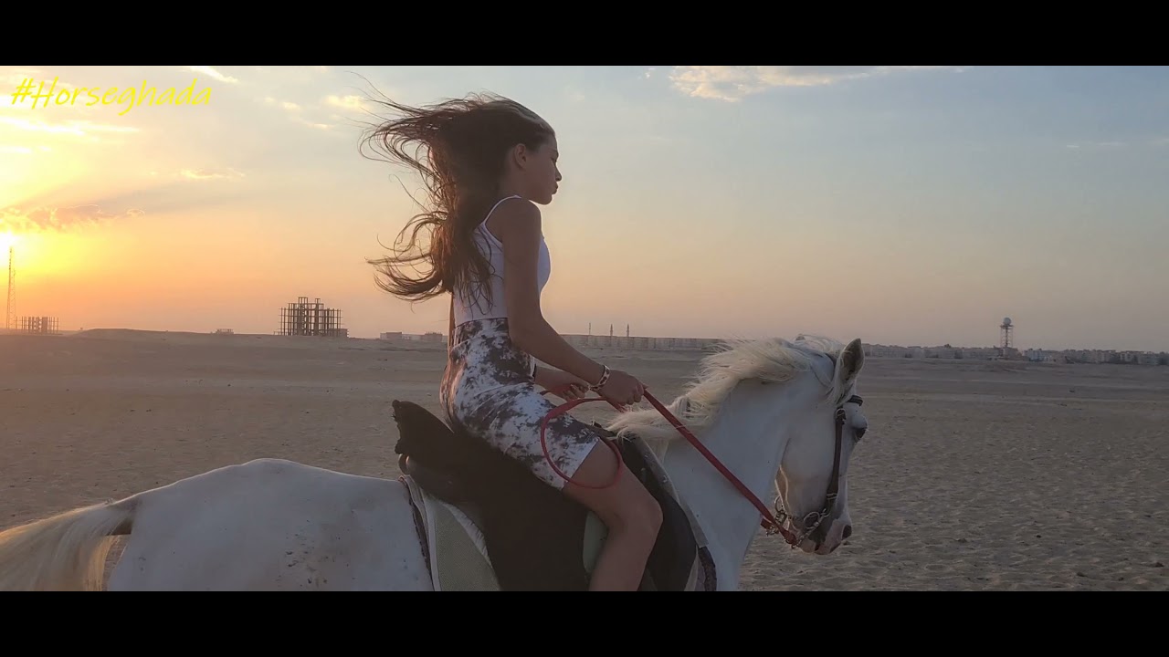 Horse trip in hurghada