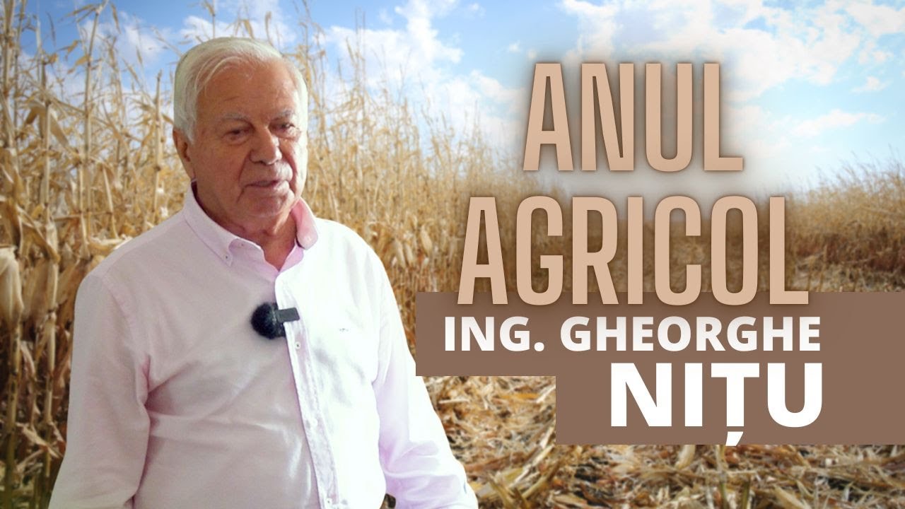 Anul agricol pentru Gheorghe Nițu, Agrozootehnica Mihăilești