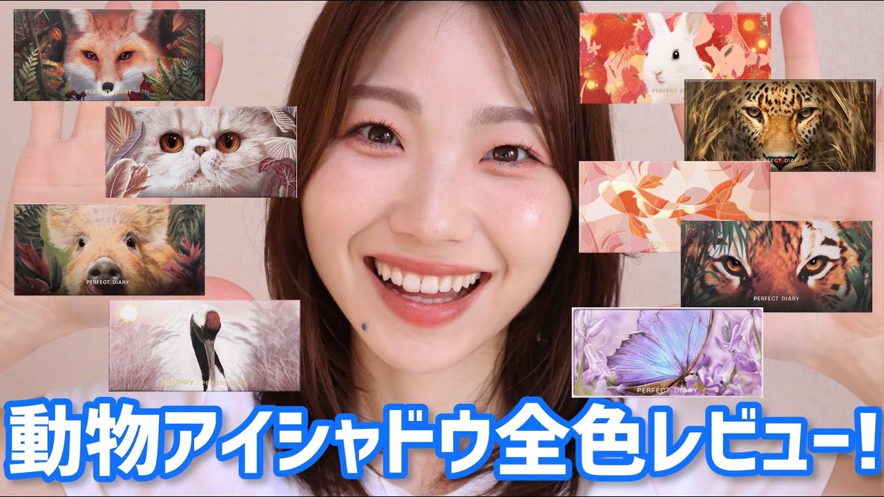 【全色レビュー】大人気の動物アイシャドウが可愛い！！【パーフェクトダイアリー】