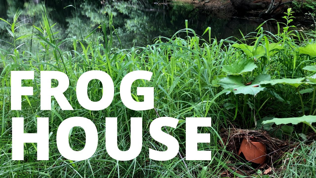 Frog & Toad House That Works! Attract Toads