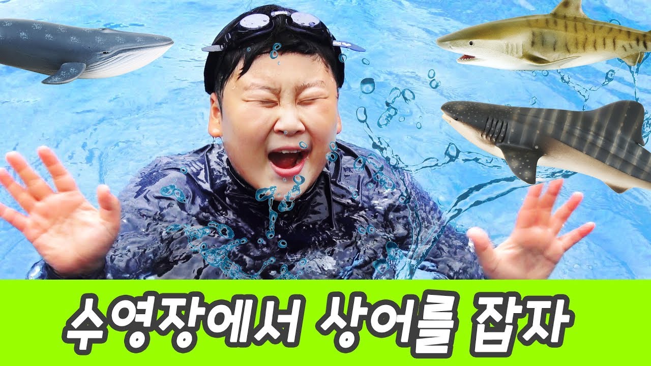 한국어ㅣ수영장에서 장난감 상어 잡기놀이! 상어이름 외우기, 컬렉타 #162ㅣ꼬꼬스토이