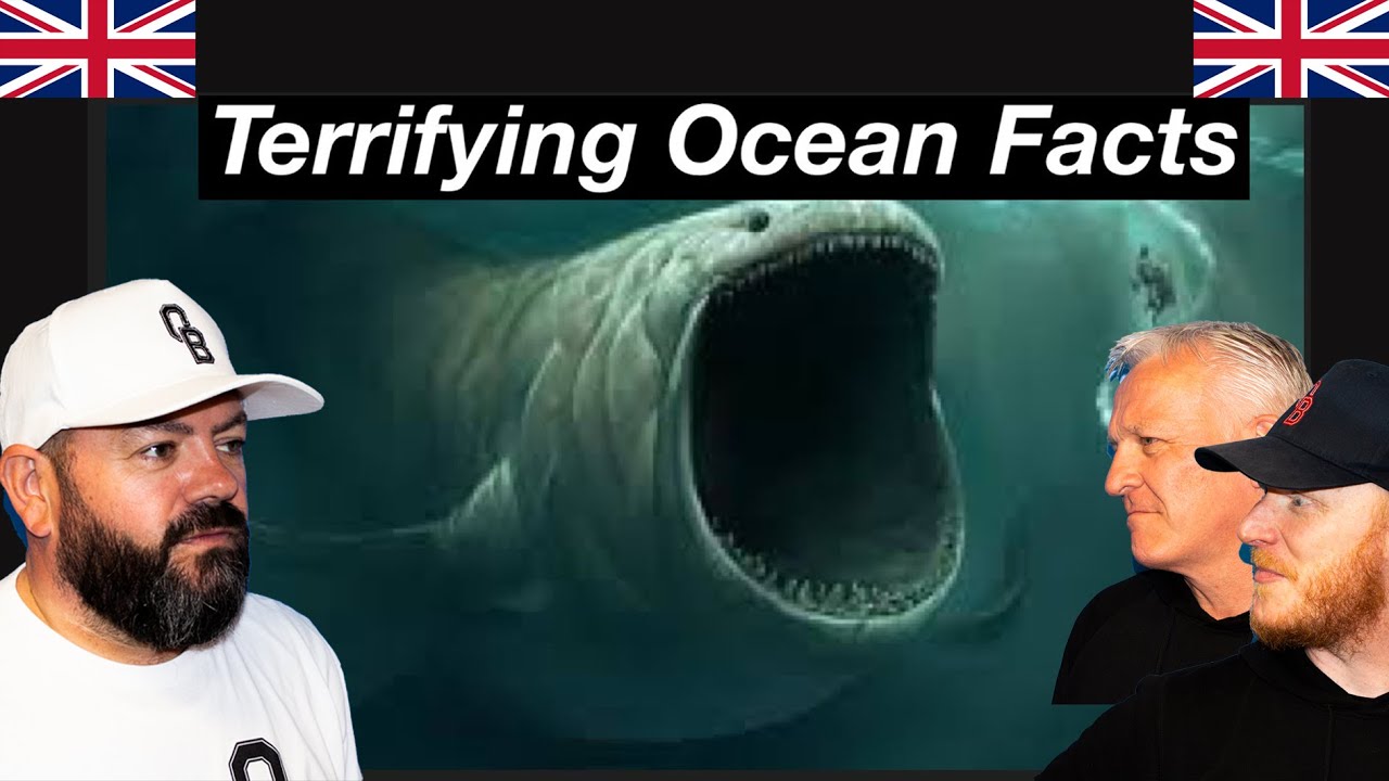 Why I’d Throat a Cactus Before I Go In The Ocean REACTION!! | OFFICE BLOKES REACT!!