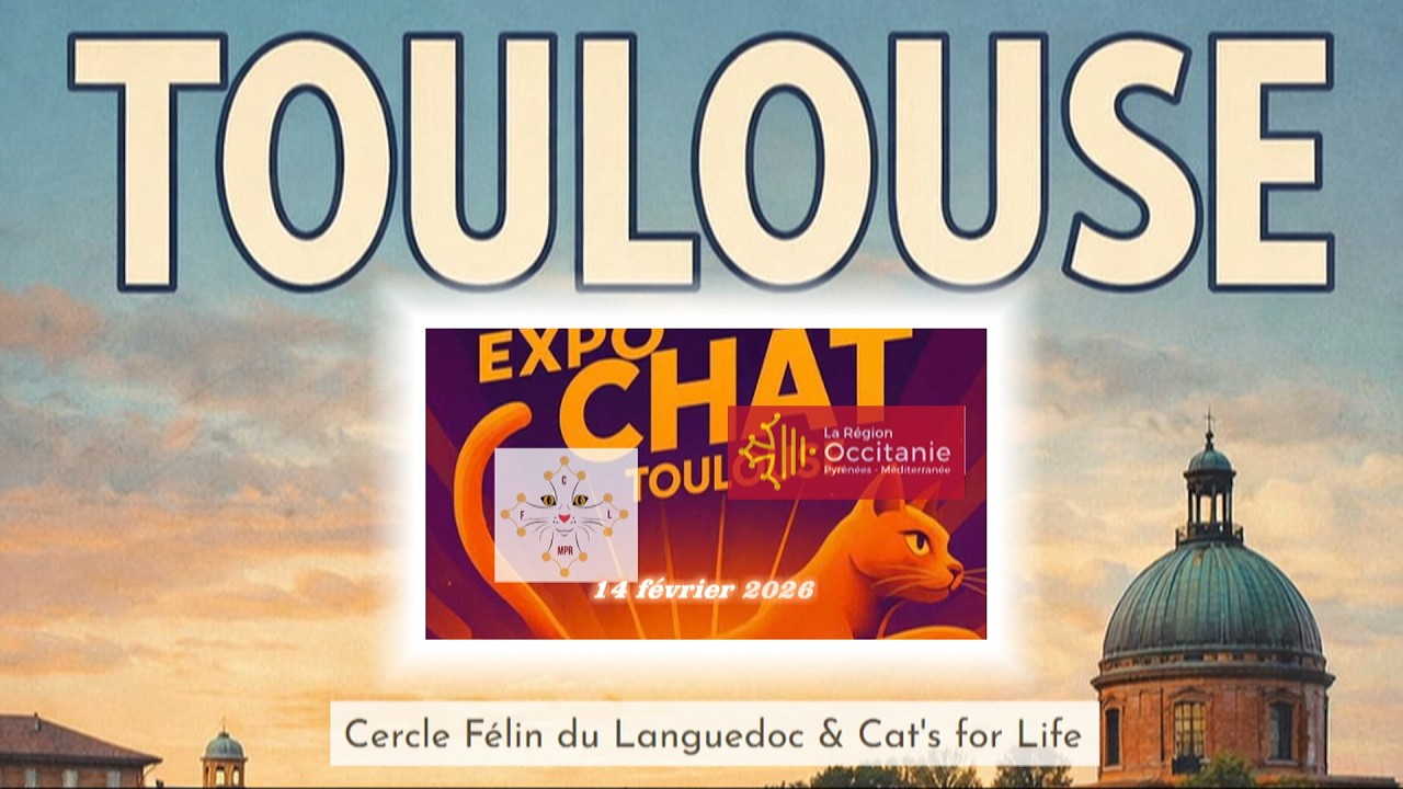Expo chat Toulouse 2026 SUITE 3