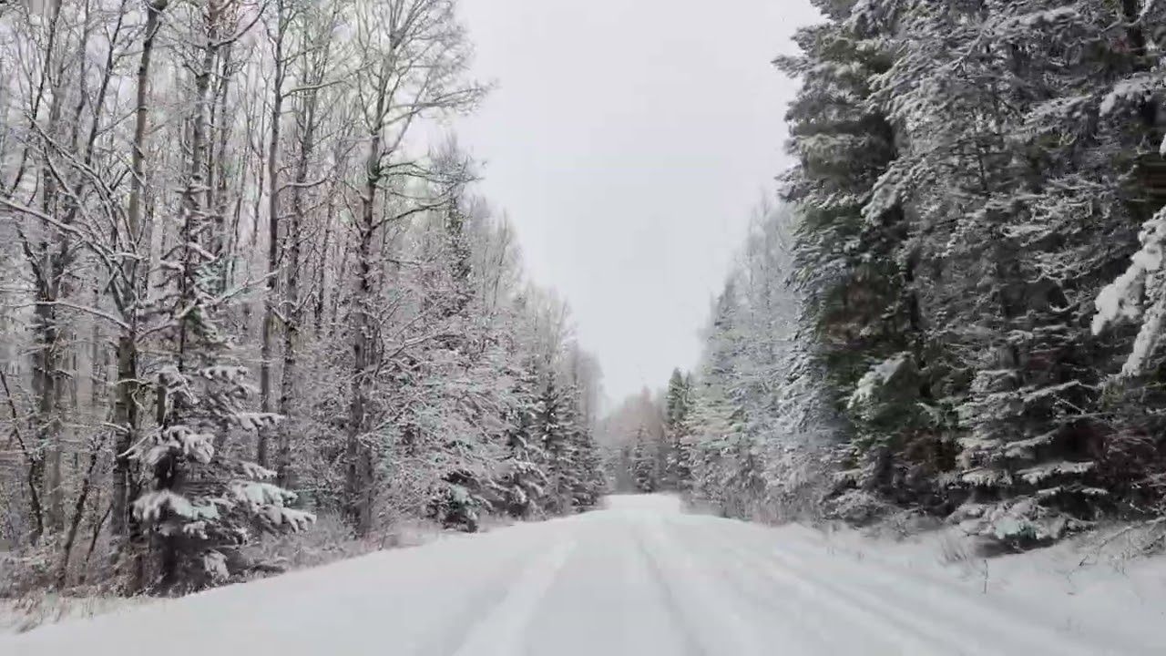 Snowy drive in the middle of nowhere Northern BC