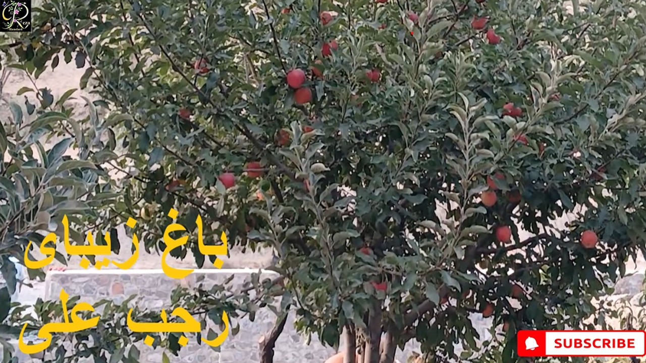سفر به قریه قسمت سوم