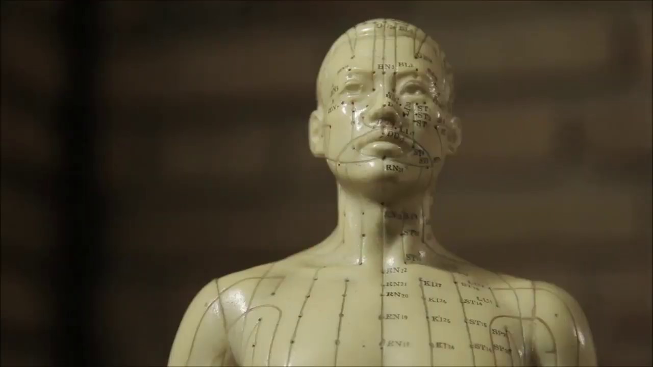 Liberdade - Documentário Curta-metragem
