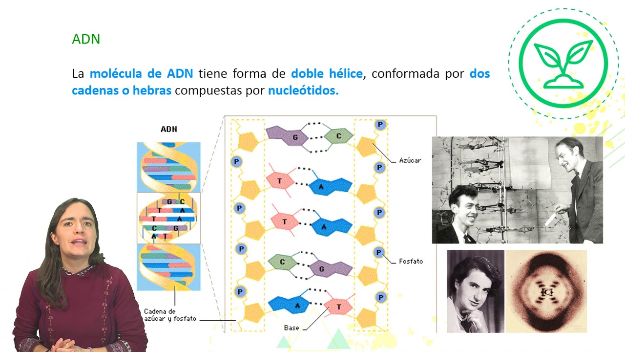 Biolog&iacute;a NIVEL II - 