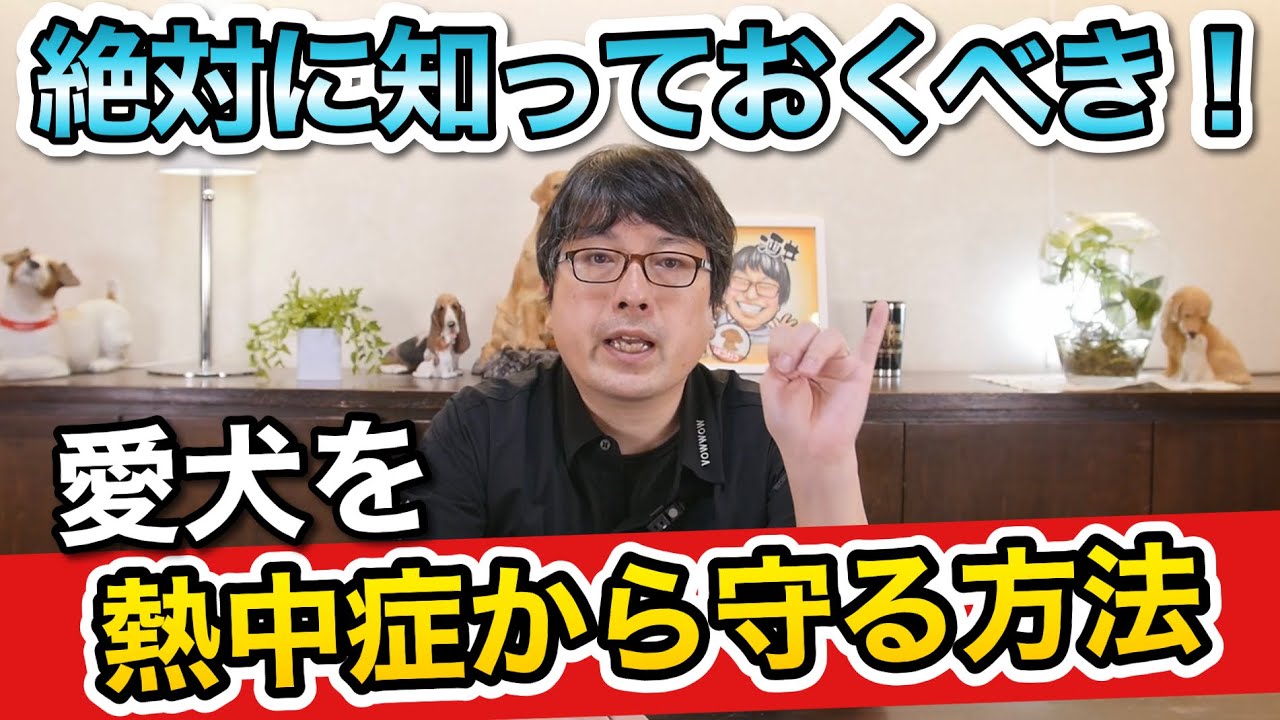 ２０２２年夏は猛暑！？注意したい【愛犬の熱中症対策】をペットショップ店長が解説します！
