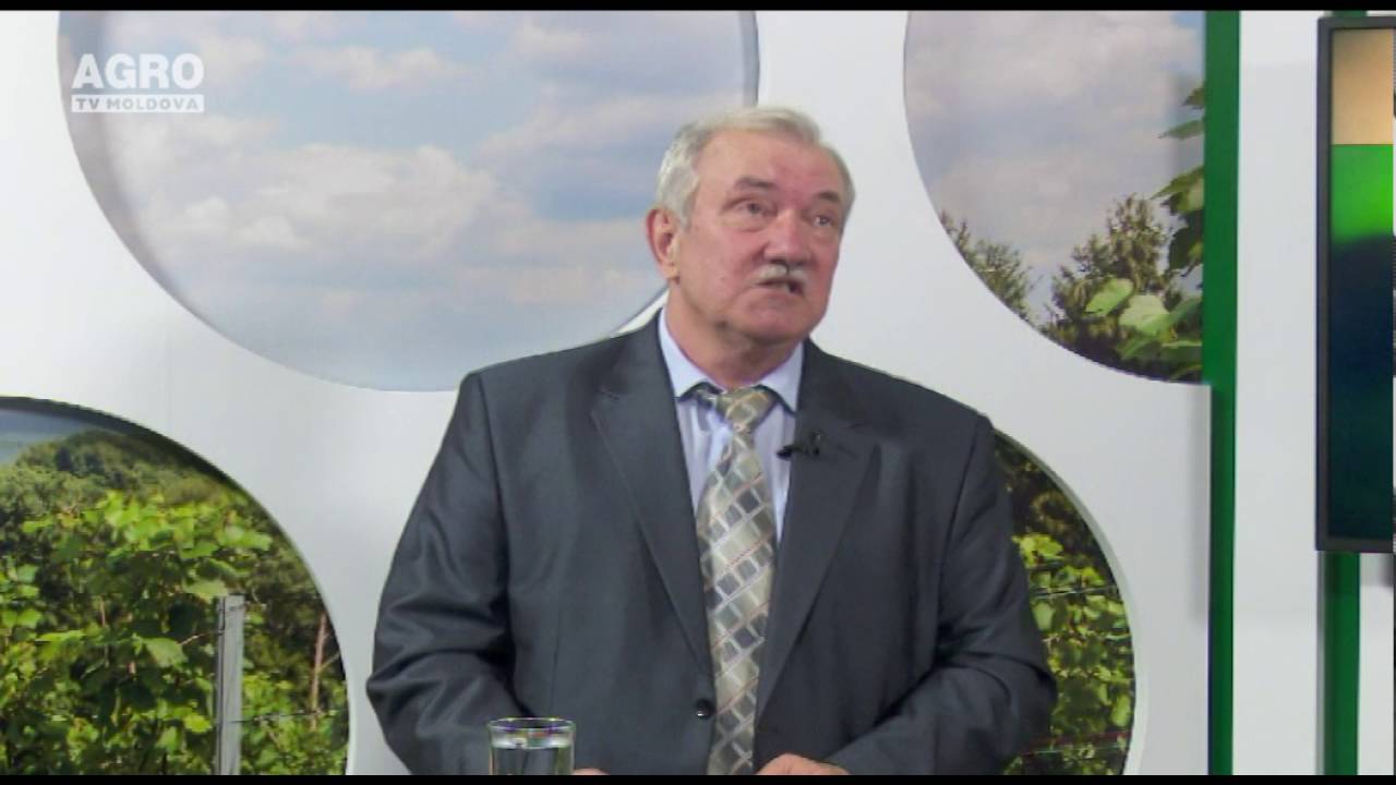 Tehnologii moderne pentru creșterea porcilor